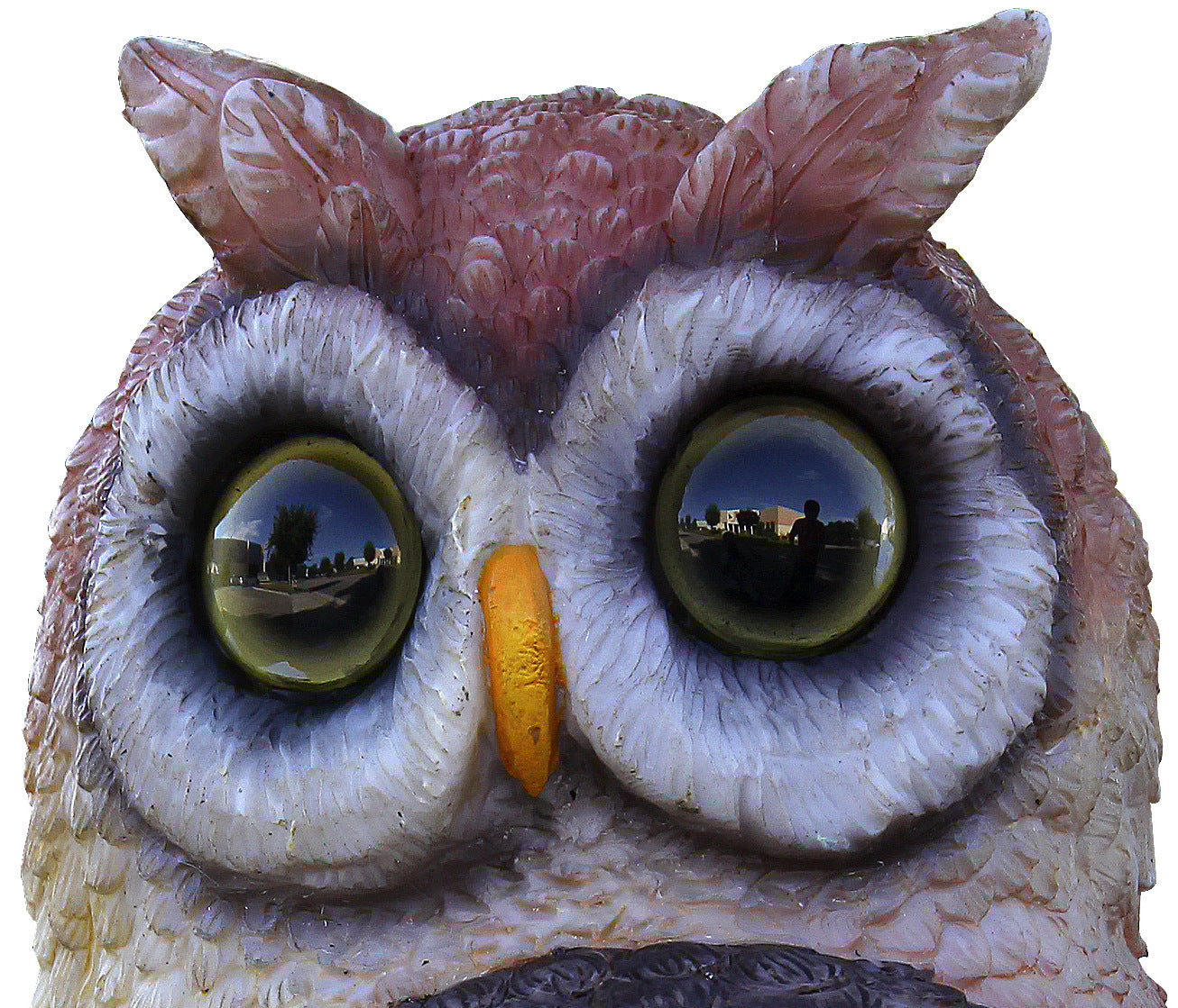 15" Owl watcher animal deterrent with hooting sound and blinking eyes OW-1